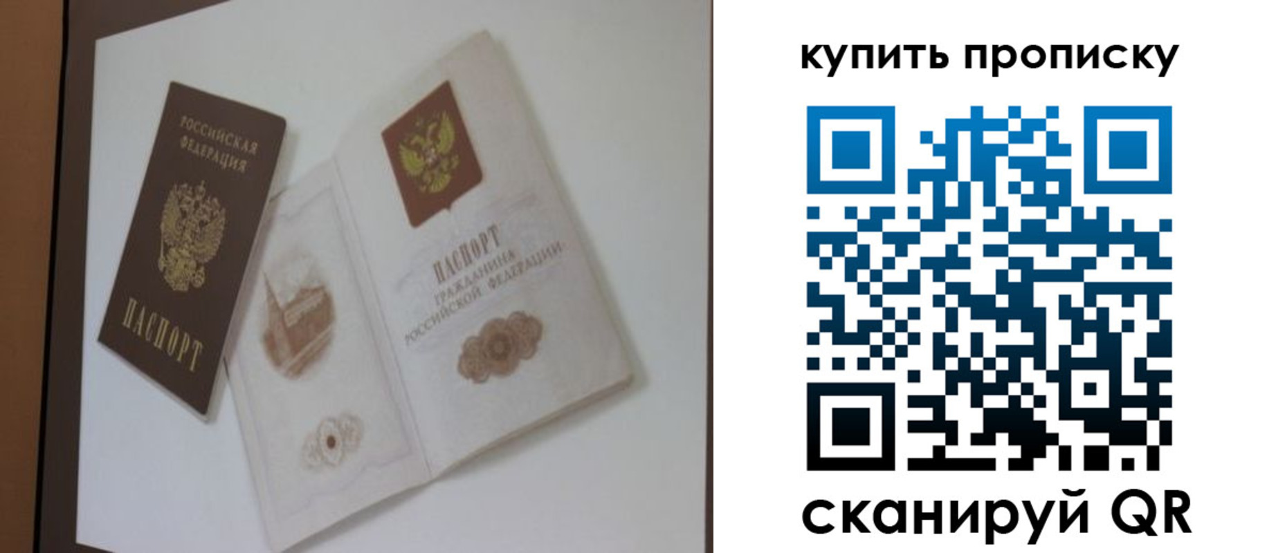 где прописаться в Кандалакше